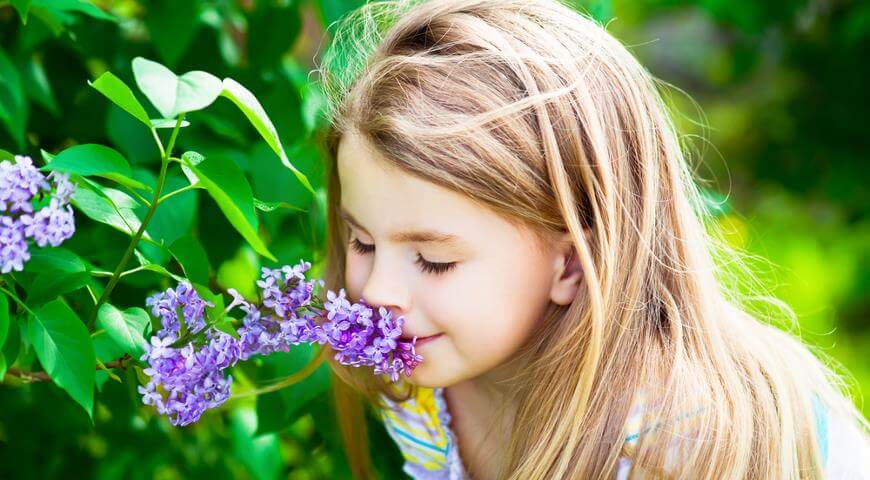 Симптомы аллергии на пыльцы у детей