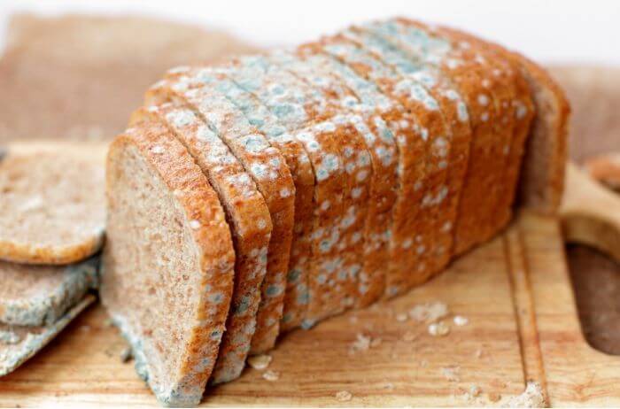 Какая плесень вызывает аллергию