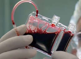 Американские ученые смогли создать искусственные клетки крови