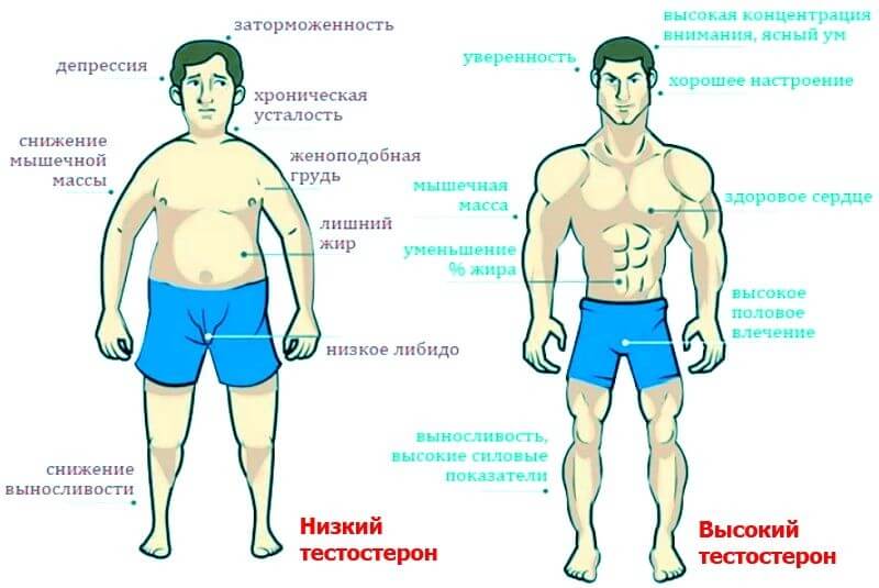 Признаки снижения тестостерона у мужчин