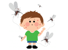 ᐉ Аллергия на укусы насекомых: причины, симптомы, диагностика, лечение, профилактика