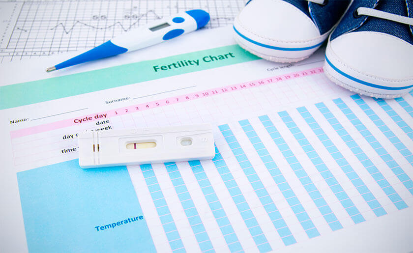 ᐉ Календарь овуляции: расчет менструального цикла по дням, дата зачатия  ребенка