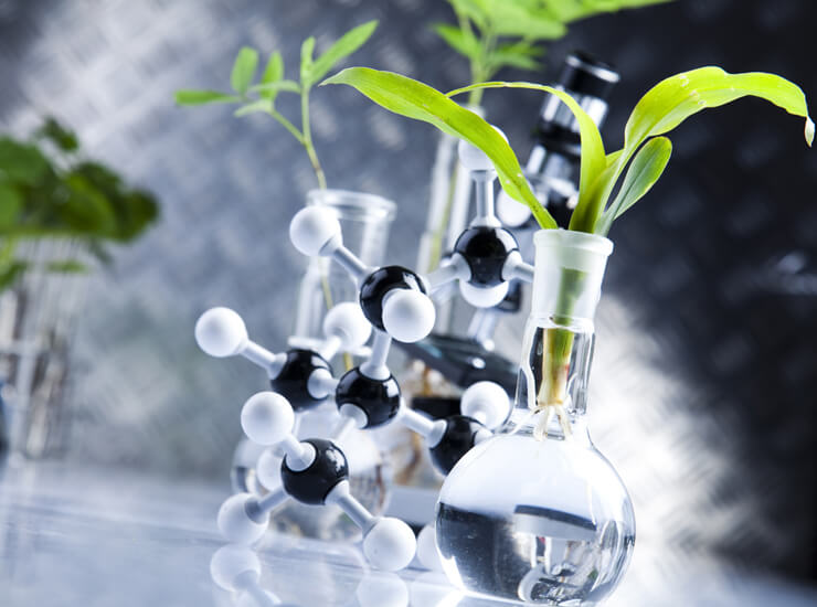 Преимущества растительных стволовых клеток