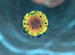 ᐉ Эхинацея-Цинк: двойной щит для иммунной системы