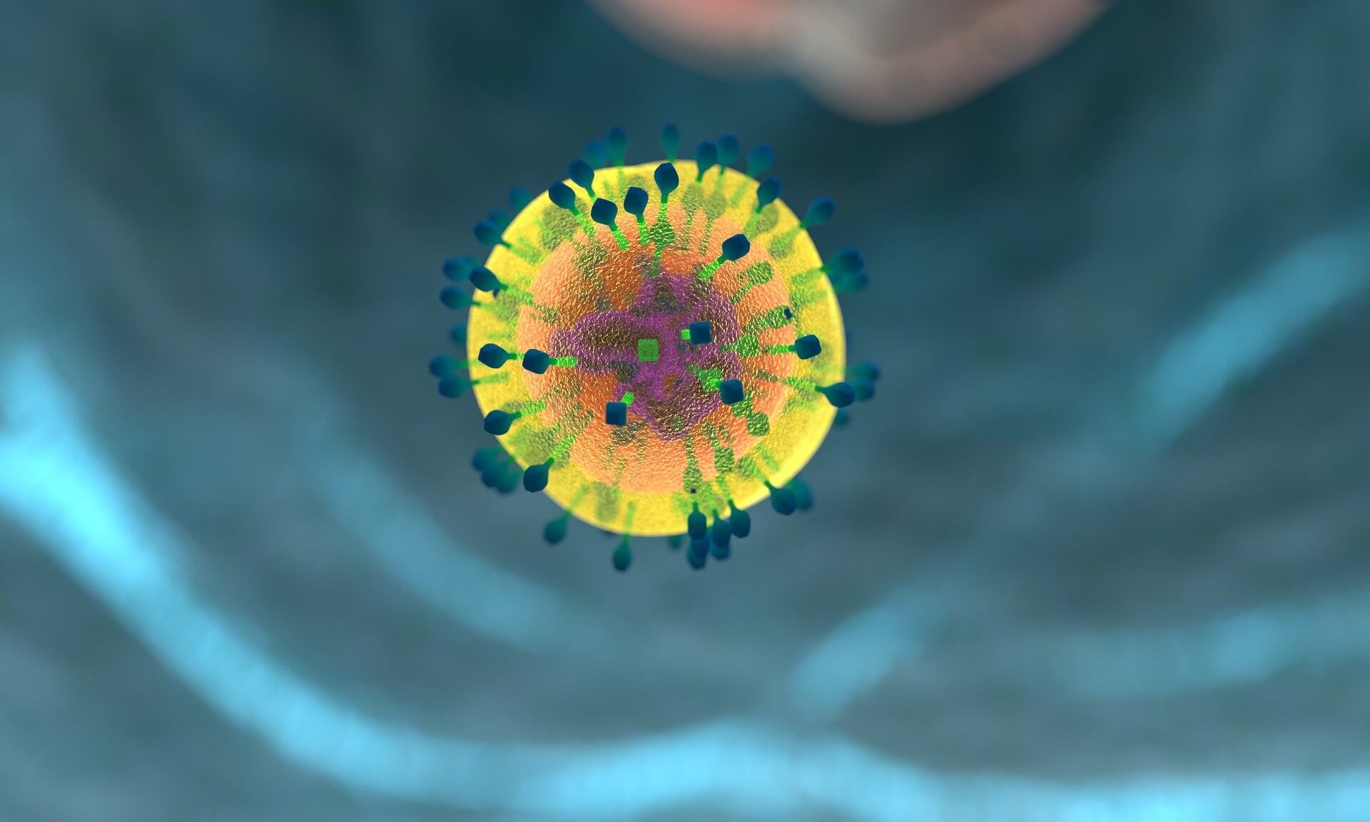 Эхинацея и цинк: двойной щит для иммунной системы